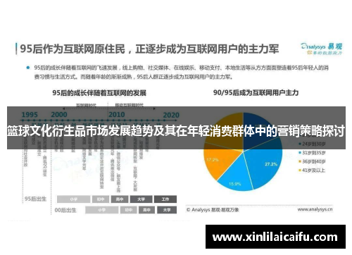 篮球文化衍生品市场发展趋势及其在年轻消费群体中的营销策略探讨