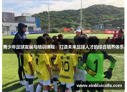 青少年足球发展与培训课程：打造未来足球人才的综合培养体系