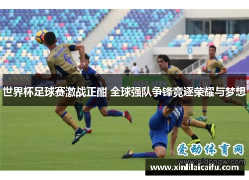 世界杯足球赛激战正酣 全球强队争锋竞逐荣耀与梦想
