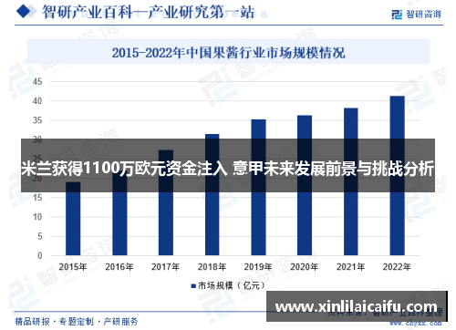 米兰获得1100万欧元资金注入 意甲未来发展前景与挑战分析