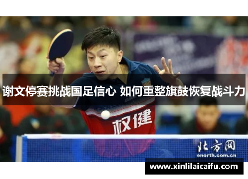 谢文停赛挑战国足信心 如何重整旗鼓恢复战斗力 谢文停赛挑战国足信心 如何重整旗鼓恢复战斗力